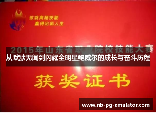 从默默无闻到闪耀全明星鲍威尔的成长与奋斗历程 从默默无闻到闪耀全明星鲍威尔的成长与奋斗历程