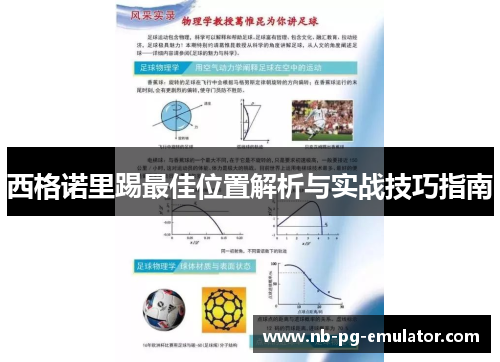 西格诺里踢最佳位置解析与实战技巧指南 西格诺里踢最佳位置解析与实战技巧指南